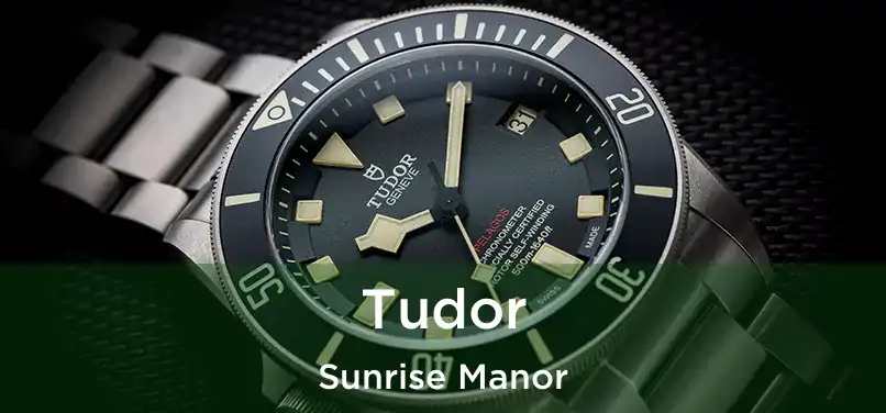 Tudor Sunrise Manor