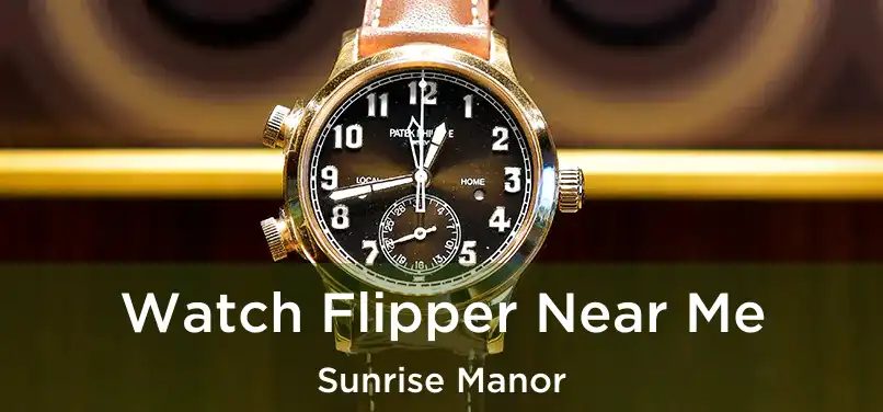 Watch Flipper Near Me Sunrise Manor